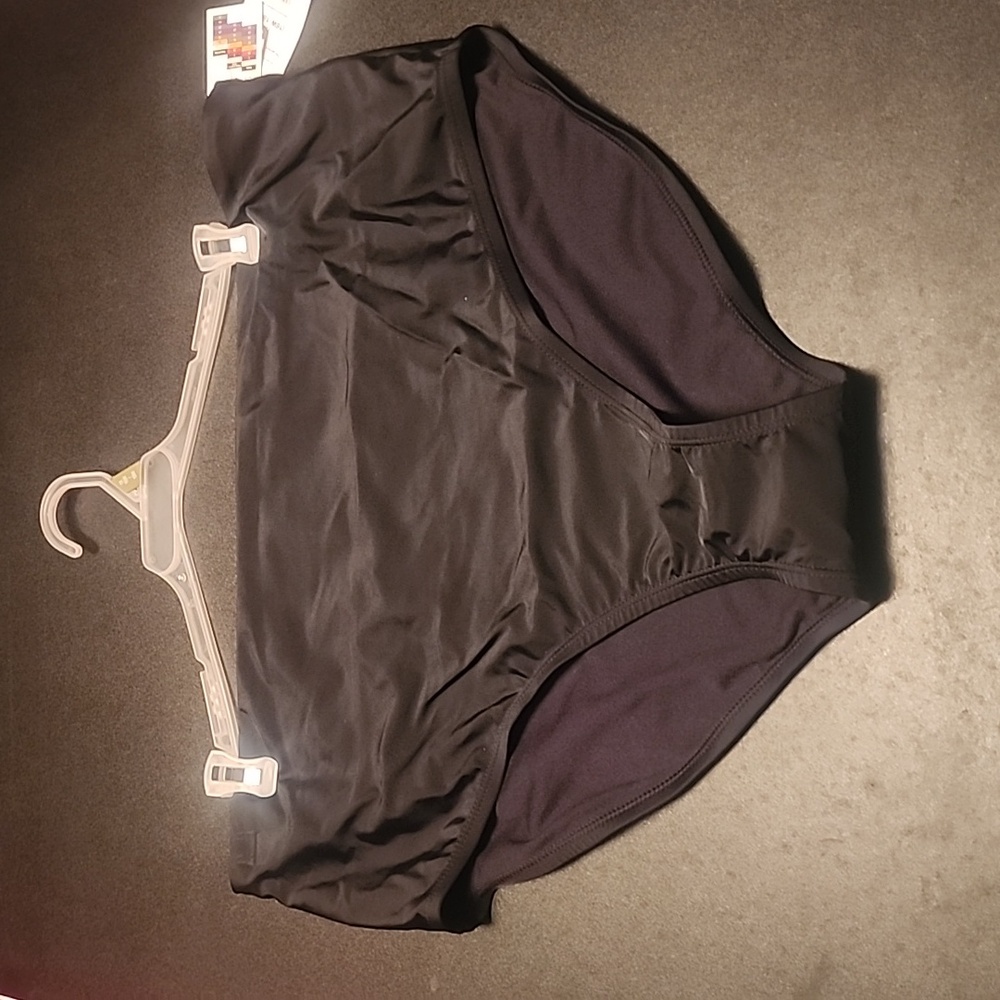 Time and Tru Swimsuit bottoms 1x